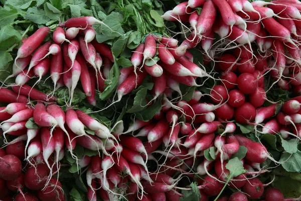 Raíces rojas y blancas de rábano verdura de primavera —  Fotos de Stock