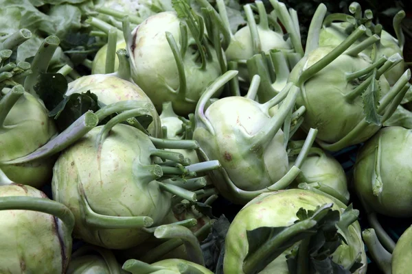 Kohlrabi vegetable — Stock Photo, Image