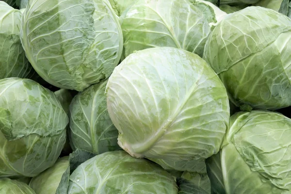 Cabbages — Stock Photo, Image