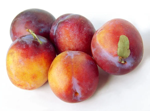 Plums greengages — Stock Photo, Image