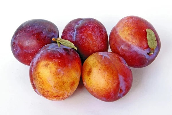 Purple and gold sweet peaches — Stock Photo, Image