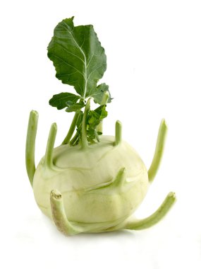 sarımsak sebze
