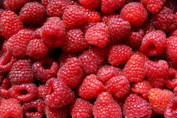 Red,sweet,tasty raspberries — Stock Photo, Image
