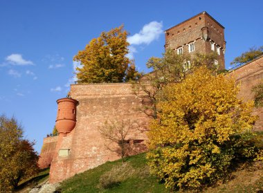 Hisar/kale ve kuleler Wawel Kalesi