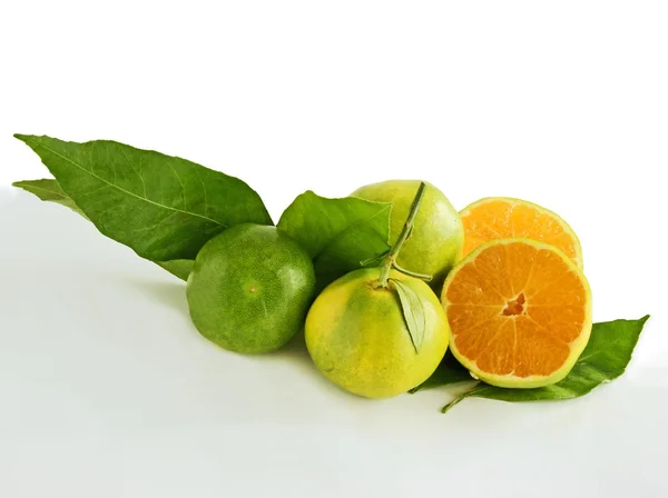 Green mandarines miyagawa — Stock Photo, Image