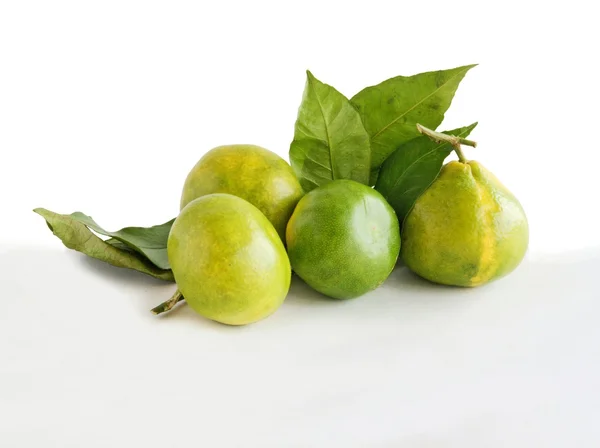 Зеленые мандарины миягава — стоковое фото