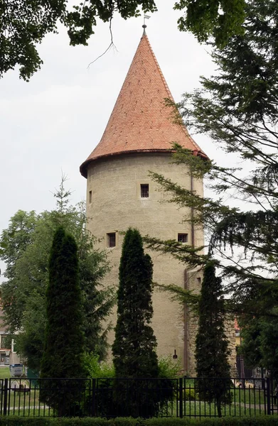 Stadsbilden i bardejov i Slovakien — Stockfoto