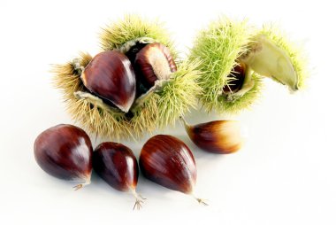 tatlı kestane meyve