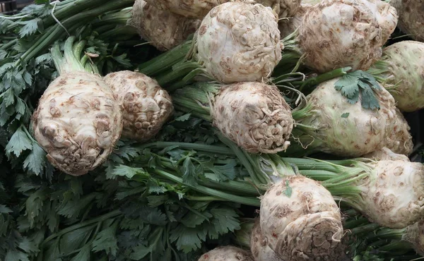 Root celery — Stock Photo, Image