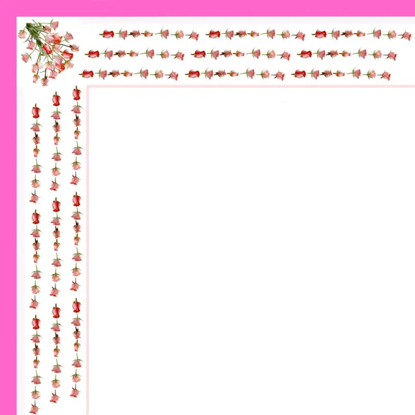 Composición de rosas rosadas como patrón para el fondo — Foto de Stock