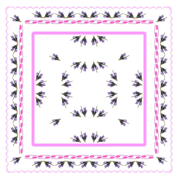 Arrangemang av lila rocus som mönster eller bakgrund — Stockfoto