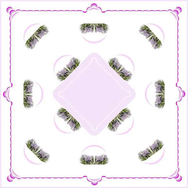 Arreglo de lila rocus como patrón o fondo — Foto de Stock