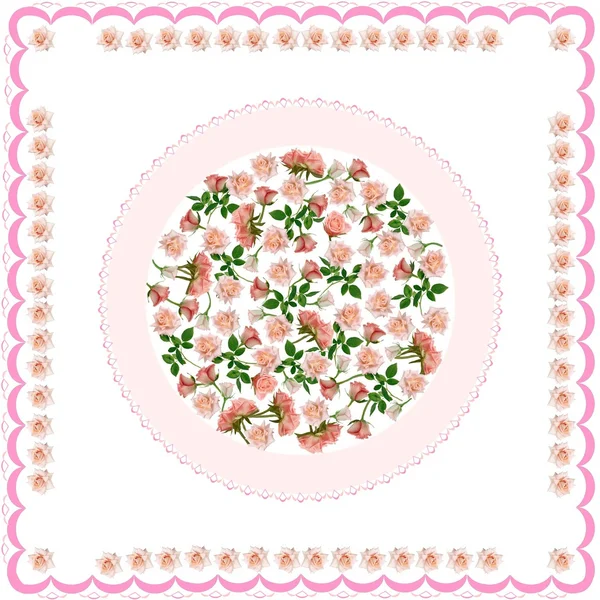 Организация розовых роз в качестве рамки или фона — стоковое фото