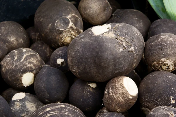 Black turnip roots for tasty and wholesome salad — Stock Photo, Image