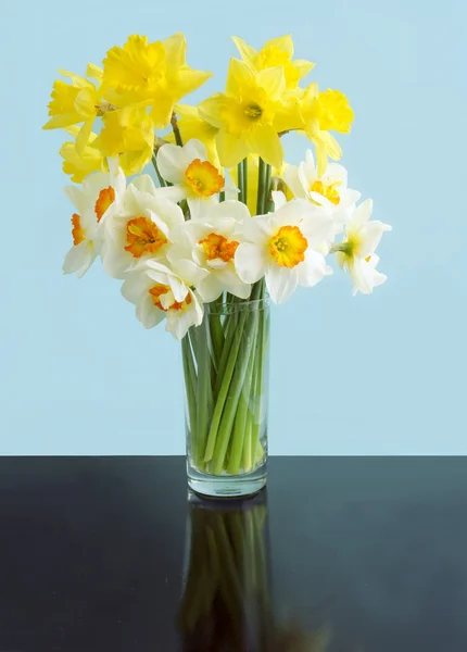 Spring flowers daffodils — Stock Photo, Image