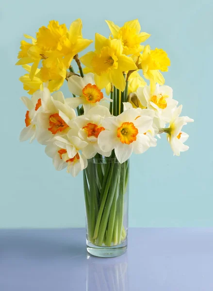 Posy of yellow spring daffodils — Stock Photo, Image