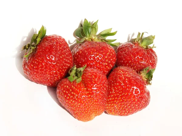 Erdbeeren — Stockfoto