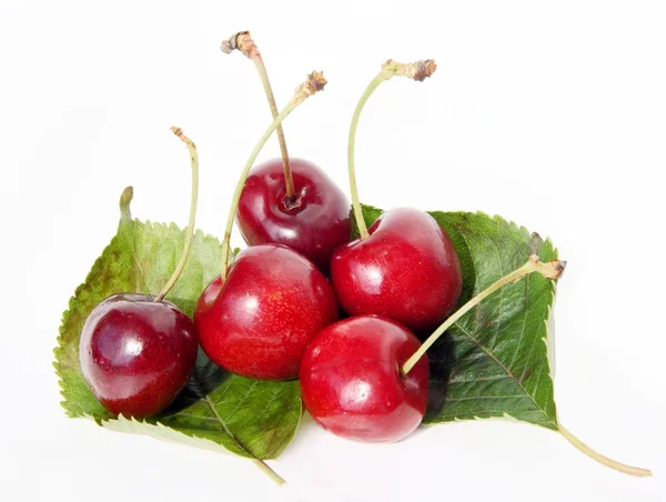 Cereza dulce — Foto de Stock