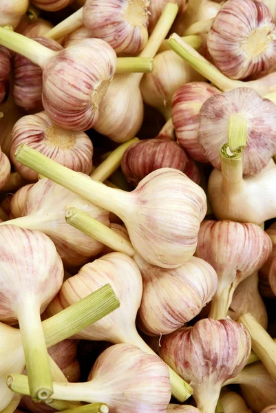 Knoblauch als Gemüse und natürliche Medizin — Stockfoto