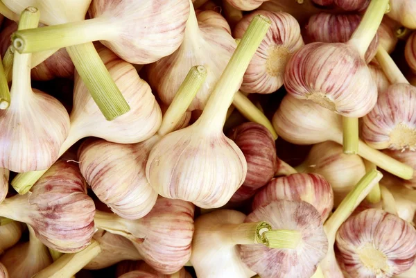 Knoblauch als Gemüse und natürliche Medizin — Stockfoto