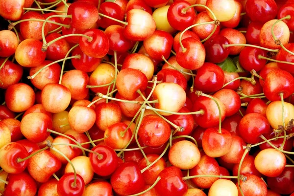 Cerezas dulces — Foto de Stock