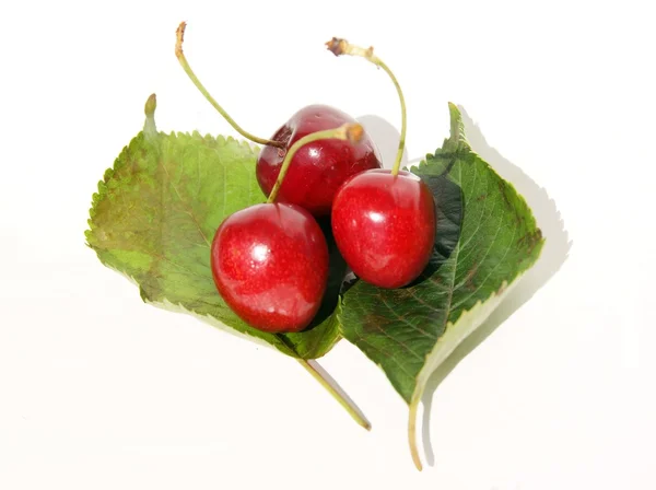 Sweet cherries close up — Stock Photo, Image