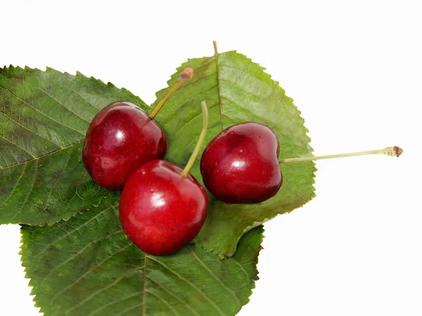 Sweet cherries close up — Stock Photo, Image