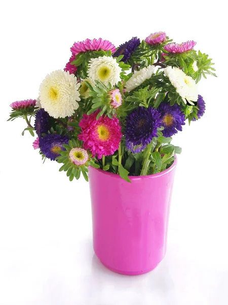 陶器の紫色の花瓶の多色のキャスターのポーズは — ストック写真