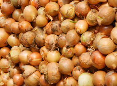 çeşitli soğan soğanları lezzetli, baharatlı sebzeler gibi