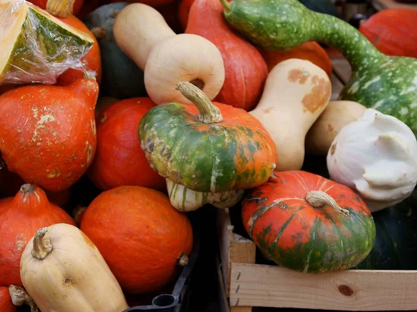 Verschiedene Bunte Kürbisse Als Schmackhaftes Vegetarisches Essen — Stockfoto