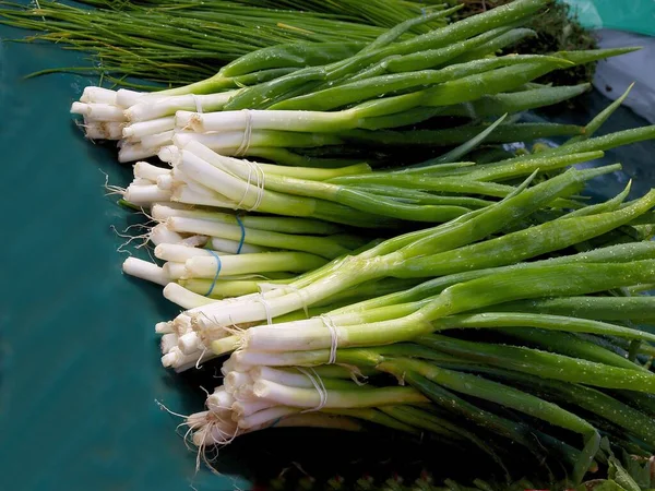 Cebollas Con Cebolla Verde Para Ensalada Cerca — Foto de Stock