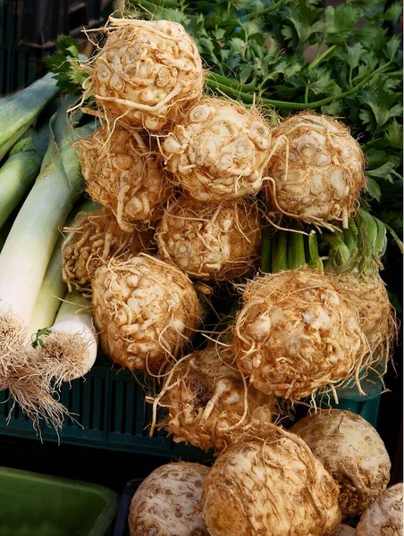 Apio Raíz Otras Verduras Para Cocinar Cerca — Foto de Stock