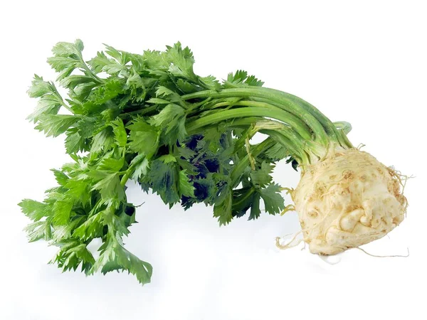 Selleri Grönsaker Med Gröna Blad — Stockfoto