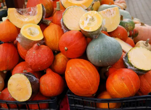 Various Multicolor Pumpkins Wholesome Vegetarian Food — Stock Photo, Image