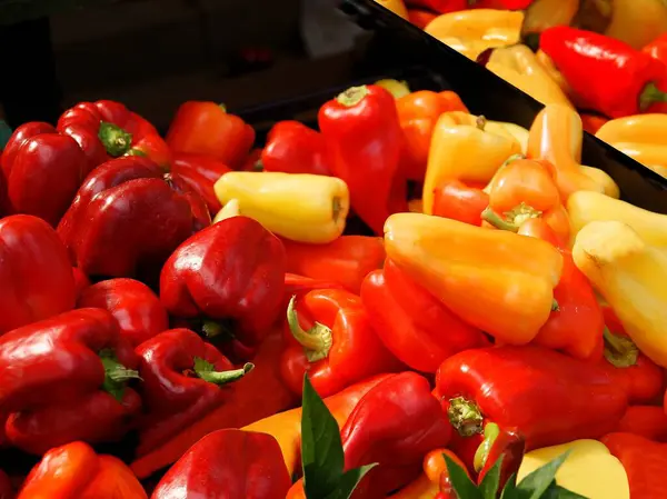Verschiedene Bunte Paprika Als Schmackhaftes Vegetarisches Essen — Stockfoto