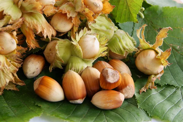 Орехи Вкусная Полезная Еда — стоковое фото