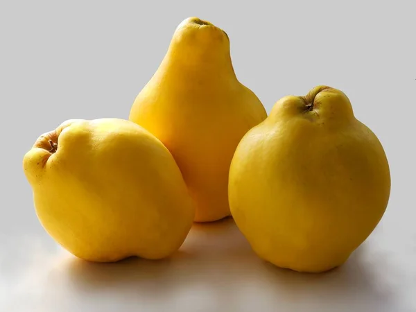 Quinces Yellow Sour Fruit Cydonia Oblonga Fruit Tree — Stok Foto