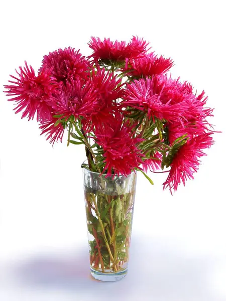 Posy Red Asters Close — Stock Photo, Image