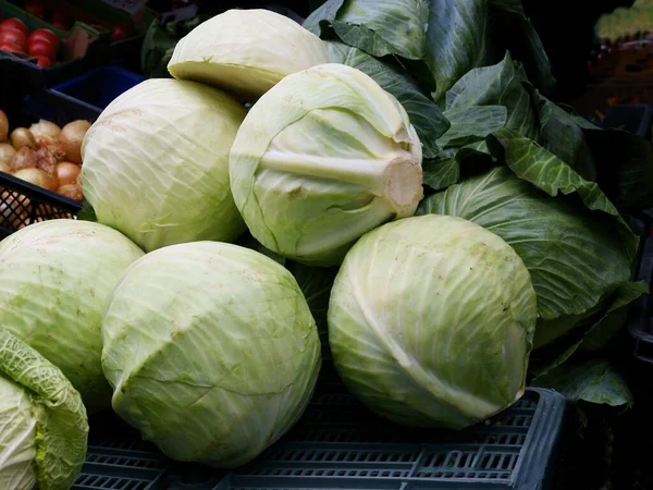 Kohl Als Schmackhaftes Beliebtes Gemüse Aus Nächster Nähe — Stockfoto
