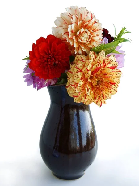 Posy Vícebarevných Květů Dahlias Izolované Zblízka — Stock fotografie