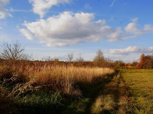 Landscape Fields Meadows Dry Grass — Stock Photo, Image