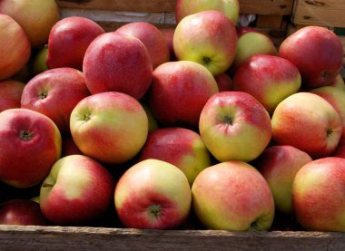 tasty apples as healthy vegetarian food