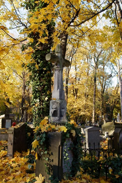 Podzimní Scenérie Žlutým Vícebarevným Listím Listnatých Stromů — Stock fotografie