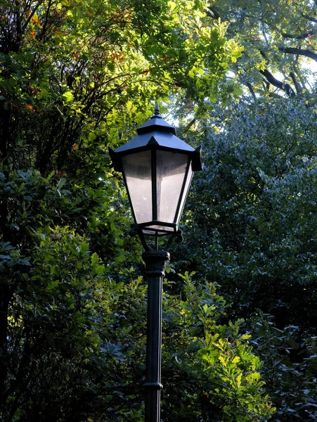 公園内の電気ランプや木は — ストック写真