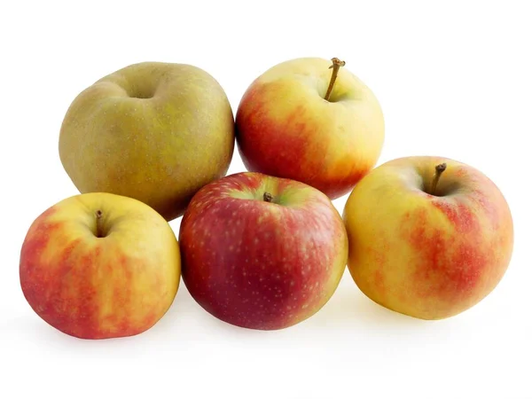 Tatlı Çok Renkli Elmalar Kapatın — Stok fotoğraf