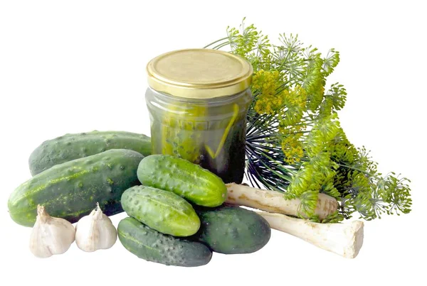 Cucumbers Dill Garlic Horseradish Roots Pickle — Stock Photo, Image