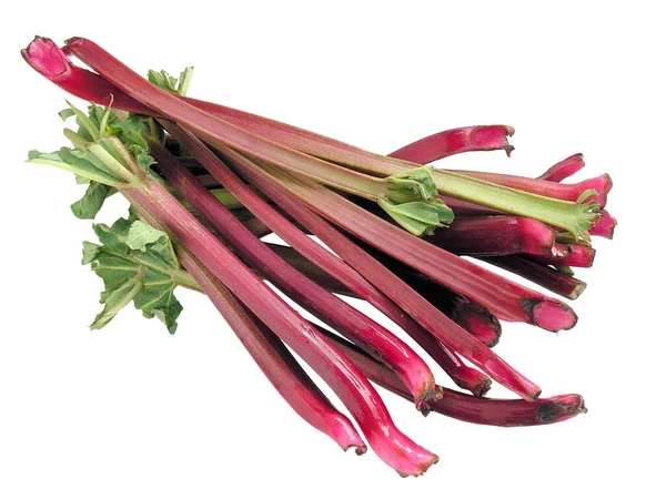 Edible Red Stems Rhubarb Compote — Stock Photo, Image