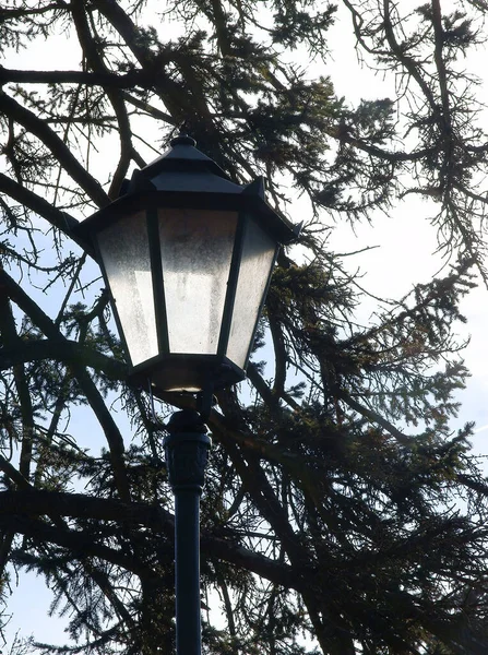 Elektrisk Lampa Och Träd Parken — Stockfoto