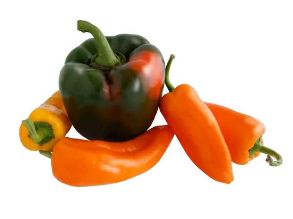 Diverse Veelkleurige Paprika Geïsoleerd Close — Stockfoto