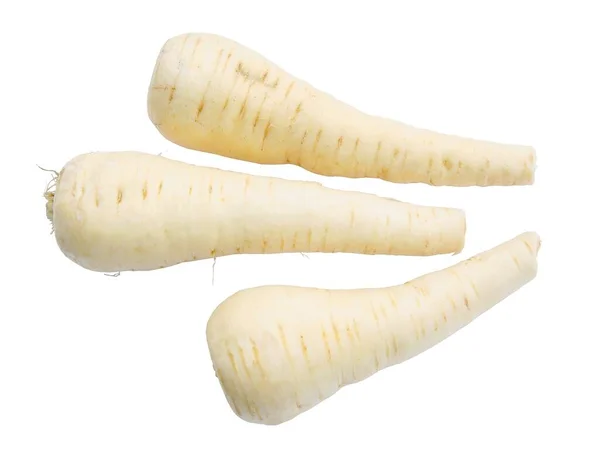 White Roots Parsnip Vegetables Isolated Close — Stock Photo, Image